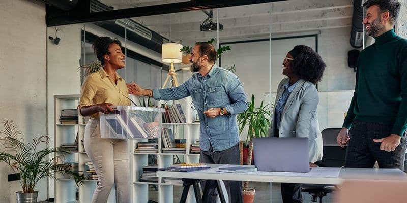 boomerange employees