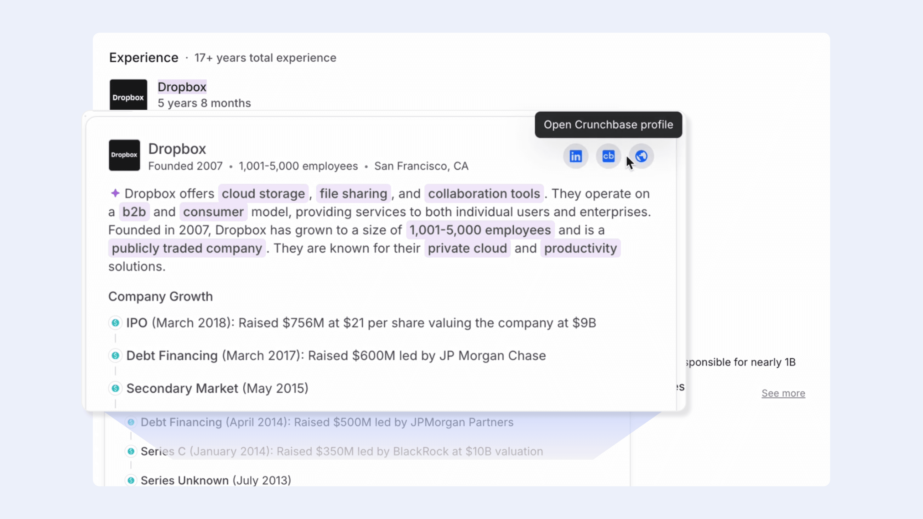 AI Company Summaries | Light Blue